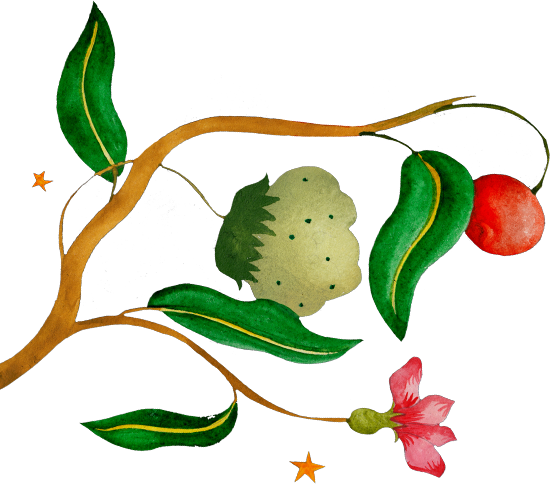 Register Interest - Register Interest (550x484)