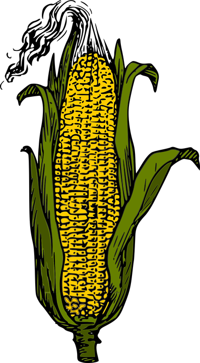 Vegetables Cliparts 15, Buy Clip Art - Corn Clip Art (397x720)