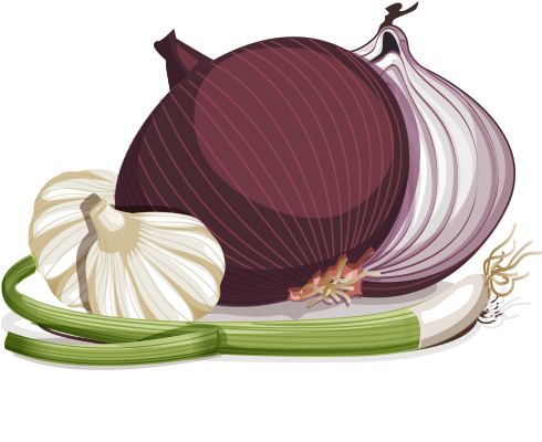 Allium Foods - Garlic (500x500)