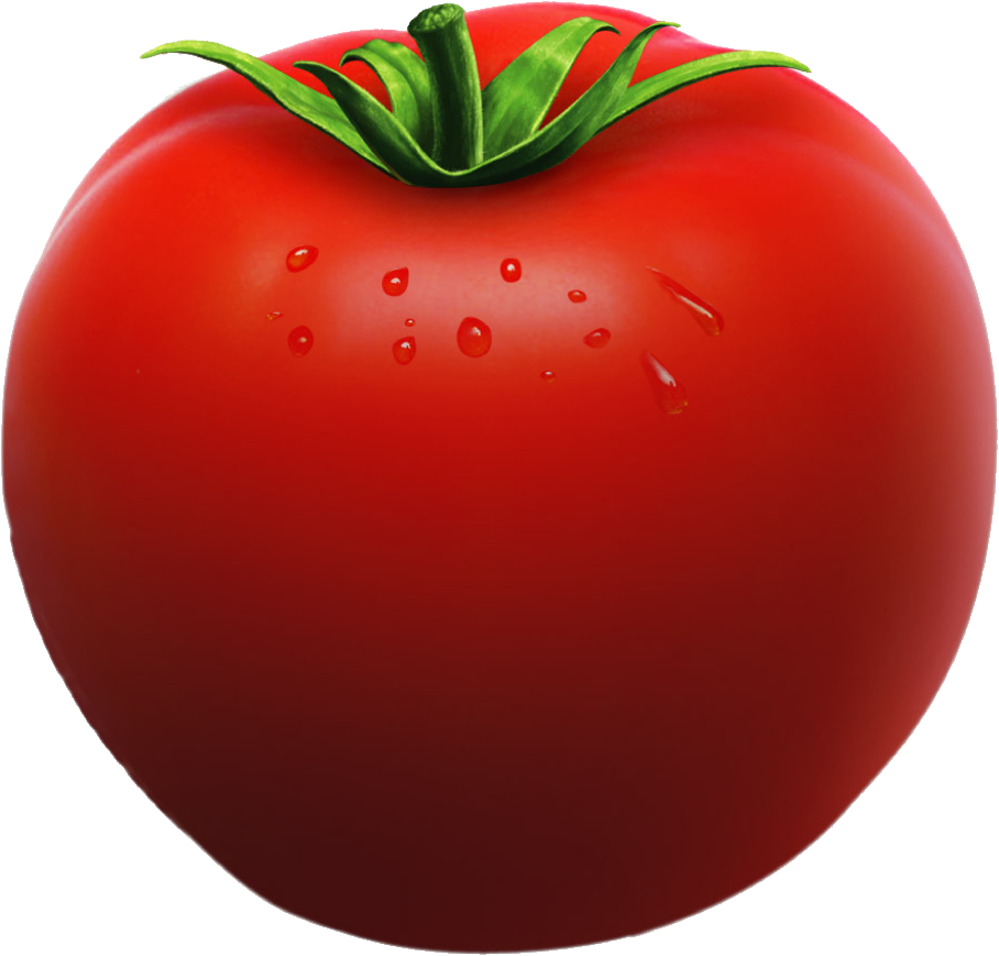 Tomato Clipart One - Tomato Seeds 120 Seeds Organic Vegetable Seeds (908x869)