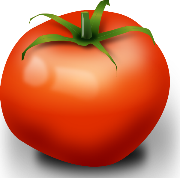 Tomato - Clipart - Clip Art Tomato (600x594)