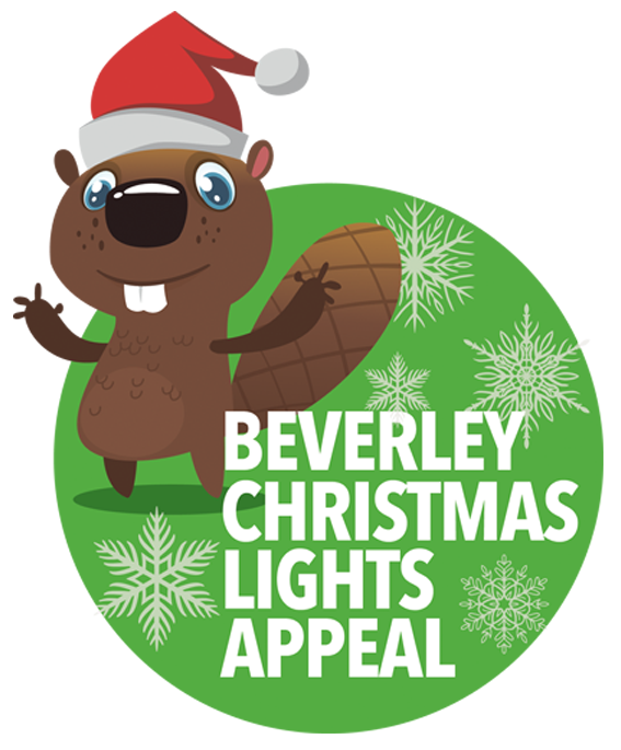 Christmas Lights (567x685)