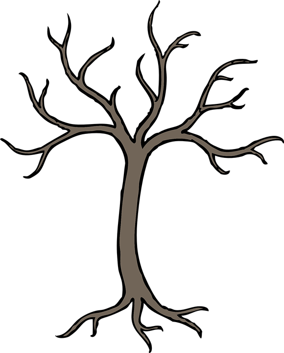 Tree, Winter, Grey, Perennial, Dried, No Leaves - Tree With Branches Drawing (580x720)
