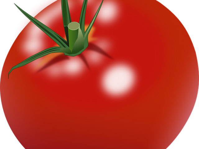 Tomato Clipart Real - Growing Tomatoes: Basics For The Beginner [book] (640x480)