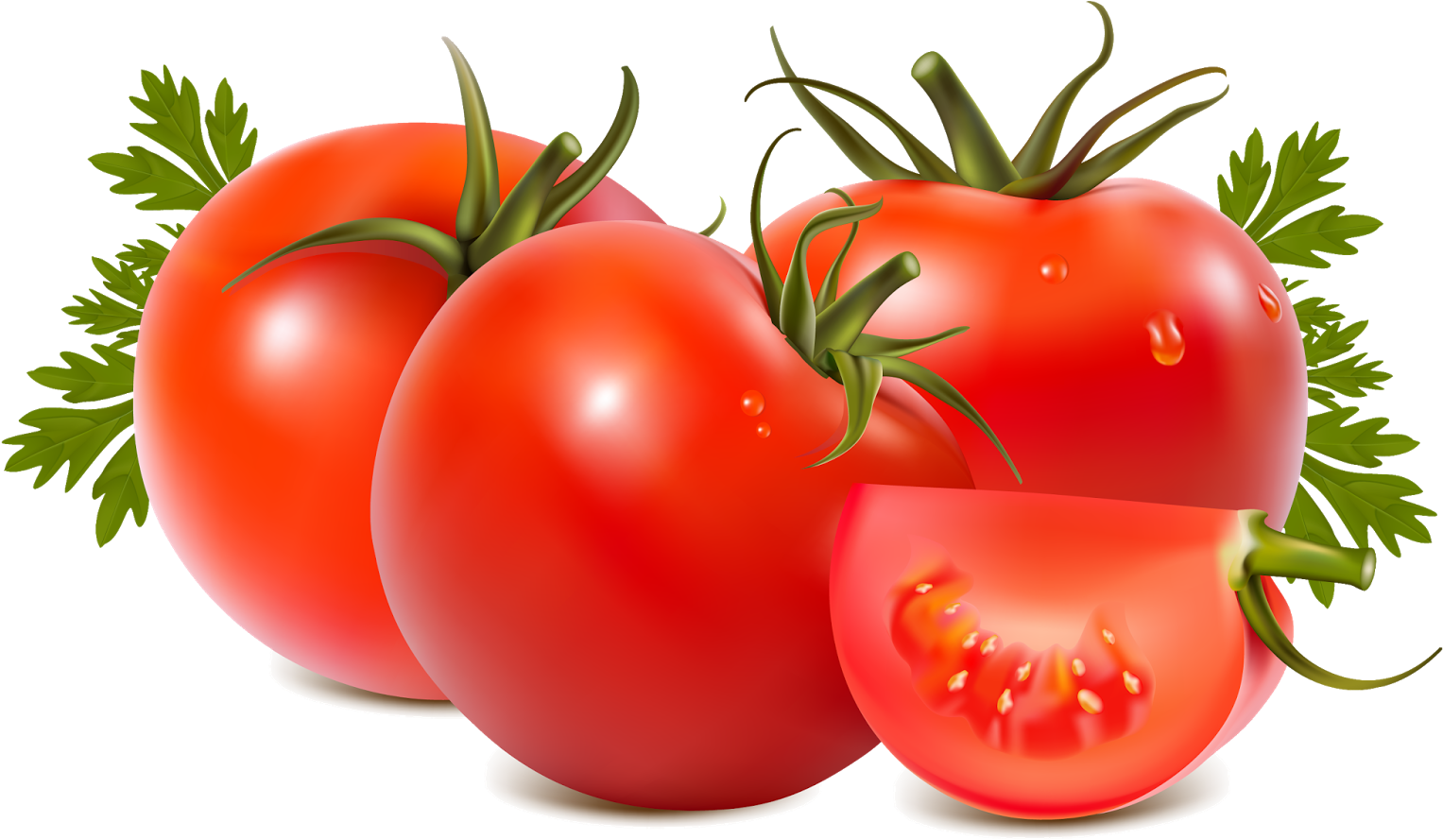 Tomato Slice Clipart Download - Tomato Png (1600x1016)