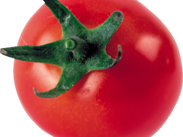 Tomato Clipart One - Tomate Groß, 3 Zoll-runder Magnet Runder Magnet 7,6 (640x480)