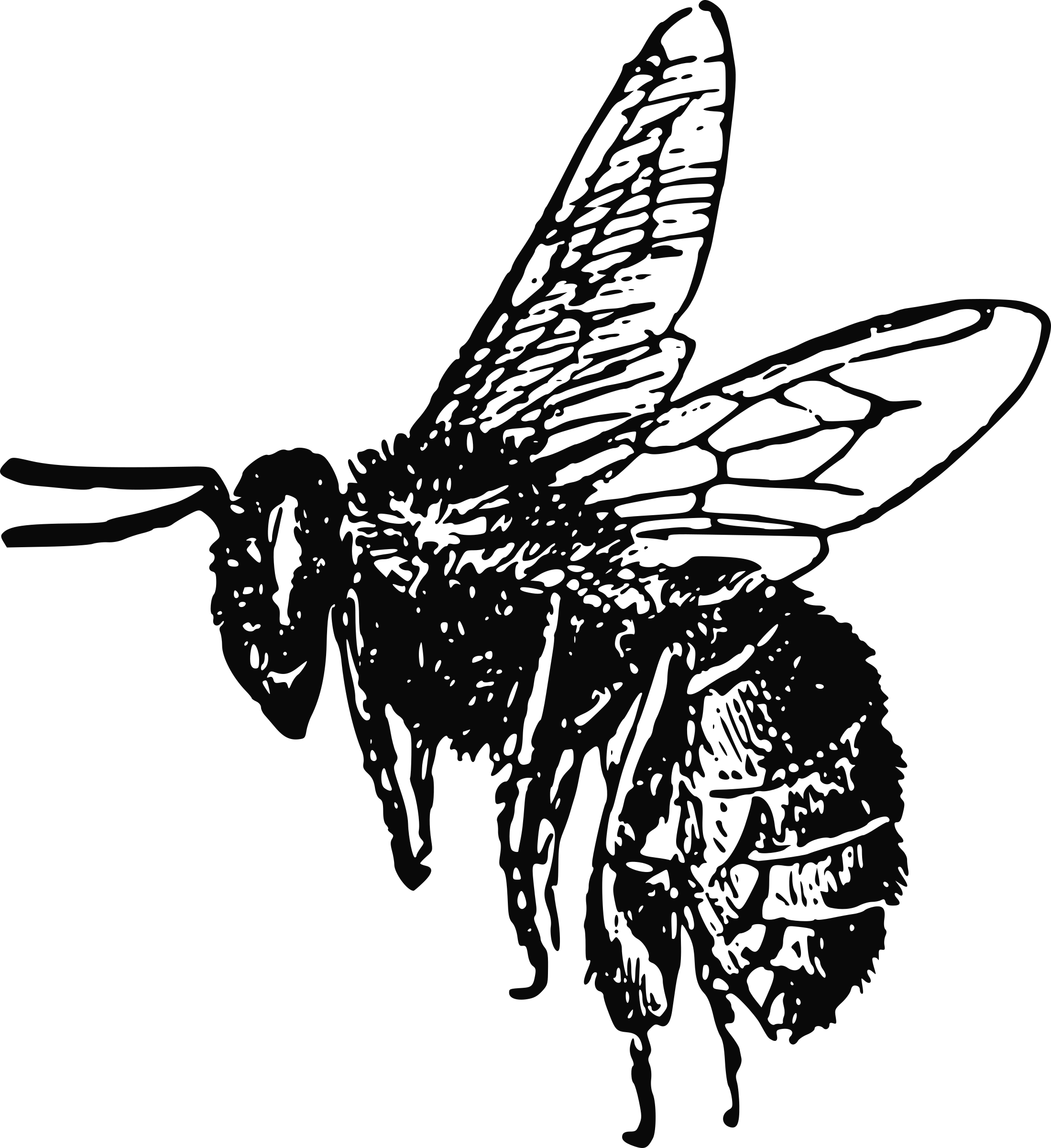 Bumblebee Insect Flight Drawing - Bee Png Black And White (2198x2400)