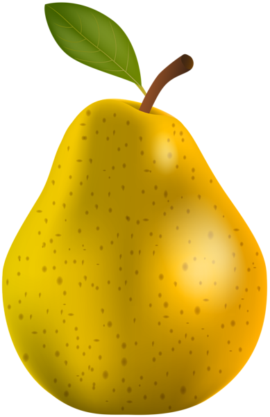 Pear Transparent Png Clip Art Gallery High - Clip Art (389x600)