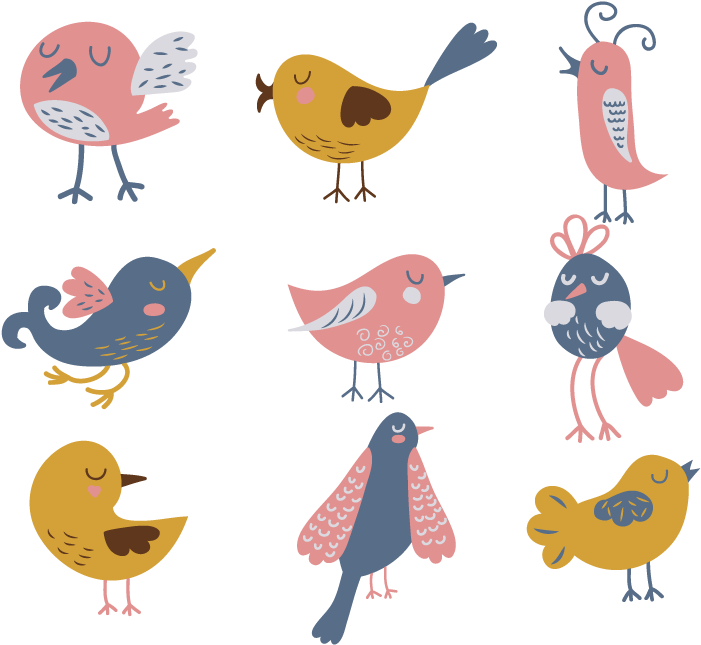 Bird Drawing Euclidean Vector Illustration - Twisted Envy Nerdy Birdy Novelty Mug (800x800)