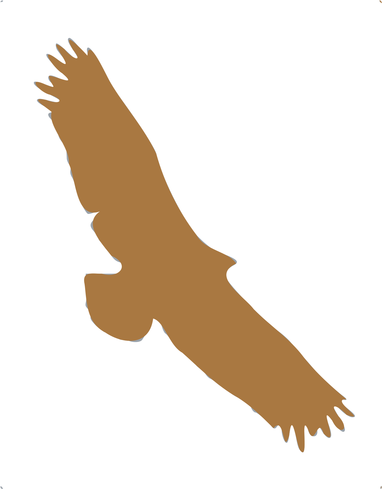 Silhouette Animaux 05 - Golden Eagle (1983x2400)