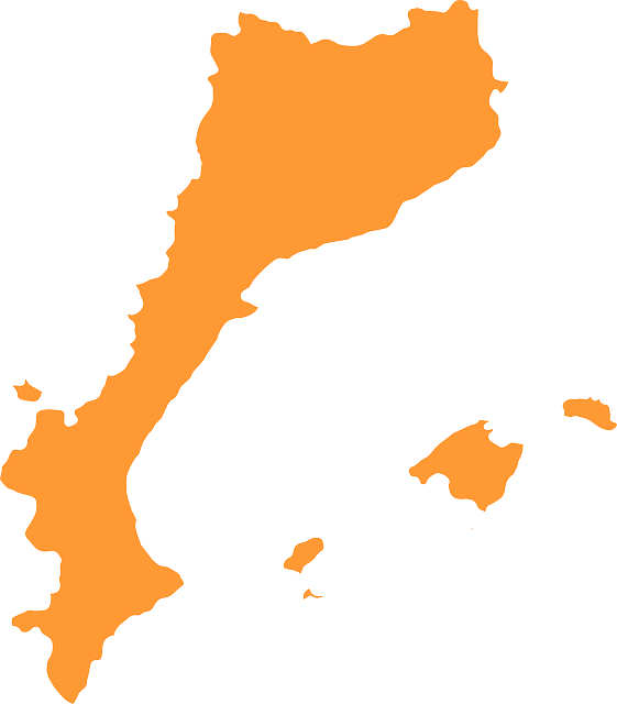 Country, Flat, Icon, Geography, Map, Silhouette, Orange - Japan Country Clipart (561x640)