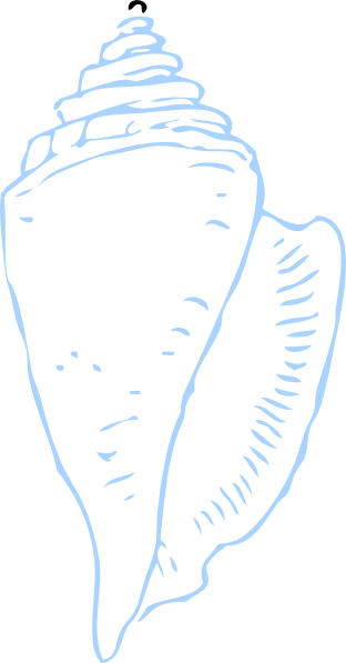 Caracolas De Mar Dibujo (312x597)