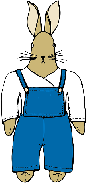 Cartoon, Bunny, Farmer, Clothing, Front, Rabbit - Cartoon Farmer Rabbit (320x640)