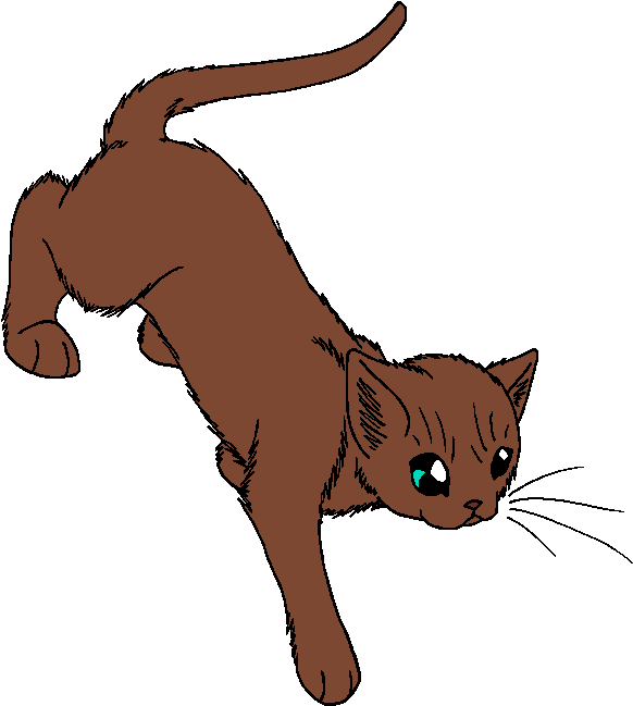 Moss That Grows By River - Common Admission Test (cat) · 2017 (623x701)