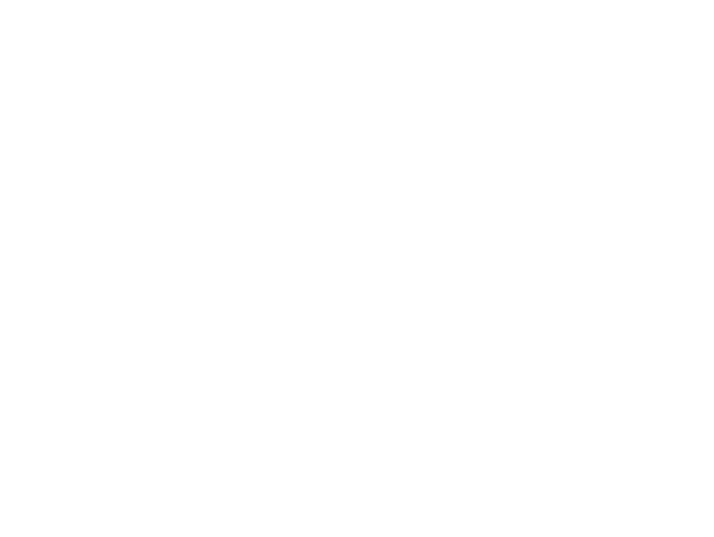 Executive Coaching - Executive Coaching (1024x1024)