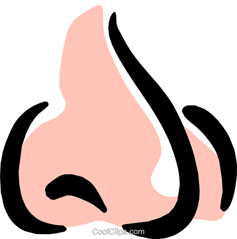 Nose Royalty Free Vector Clip Art Illustration - Nose Smell Clipart (476x480)