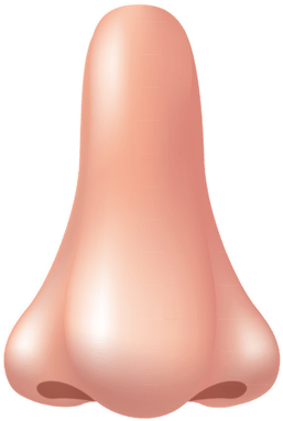 Nose Clipart - Nose Transparent Png (1879x1879)