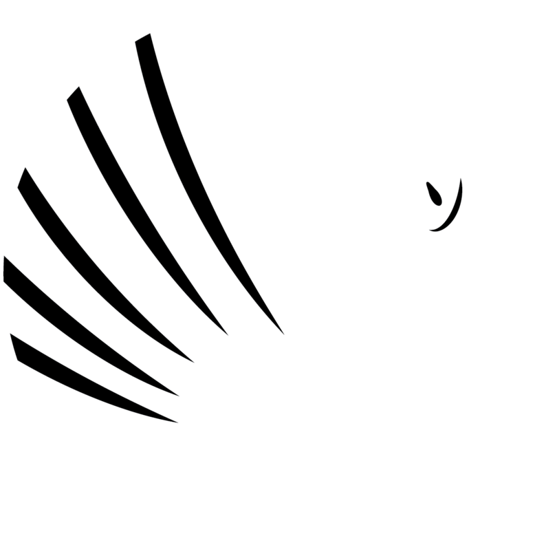 White Swan (1000x1043)