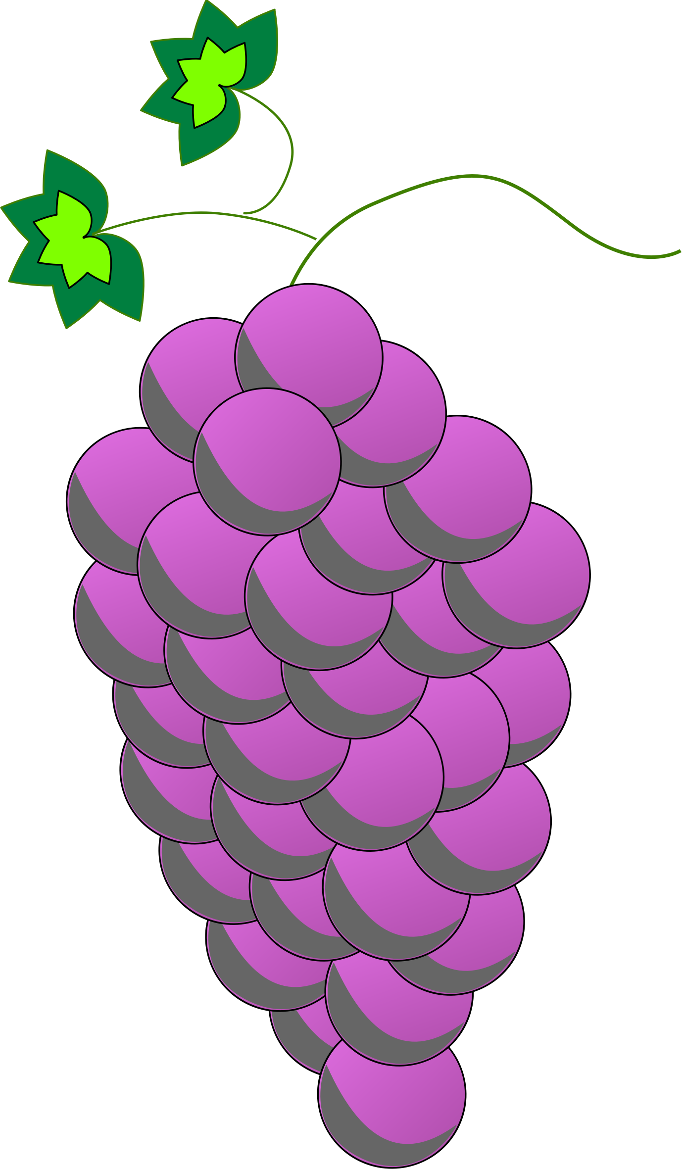 Big Image - Viuolet Grapes Clipart (1378x2362)