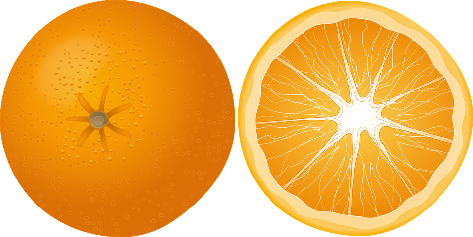 Orange Clipart Vector - Orange Slice Vector Png (960x482)