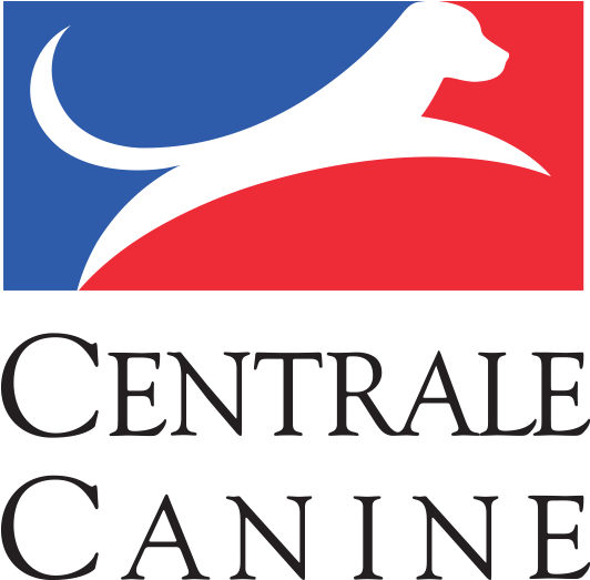 Pointer Belgian Shepherd Société Centrale Canine Malinois - New Mexico Gas Company (800x800)