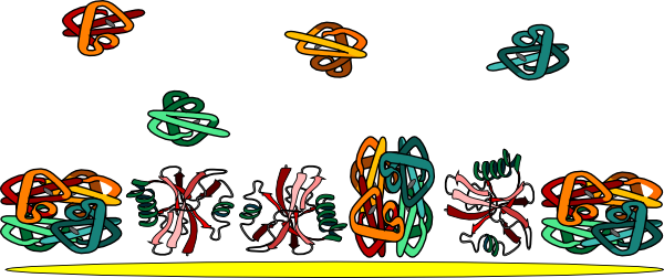 Protein Adsorption On Polymer Disk Clip Art - Polymer Clip Art (600x252)