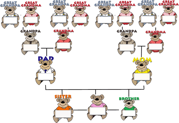 Printable Family Tree Template Family Tree Clipart - Teddy Bear Family Tree (576x396)