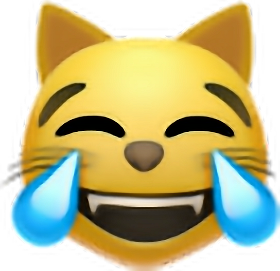 Laughing Cat Emoji Png (544x528)