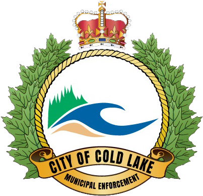 Fine Payment - Rcmp (411x401)