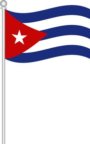 Flag Of Cuba, Flag, Cuba - Bandera De Cuba Png (301x480)