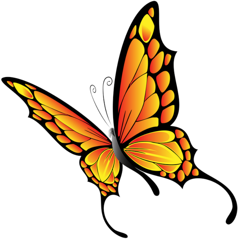 Clipart Butterfly - Vector Graphics (799x800)