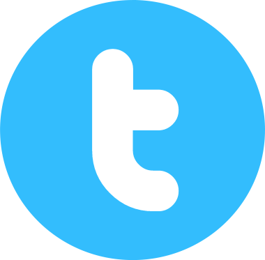 Logo Twitter Png (380x373)