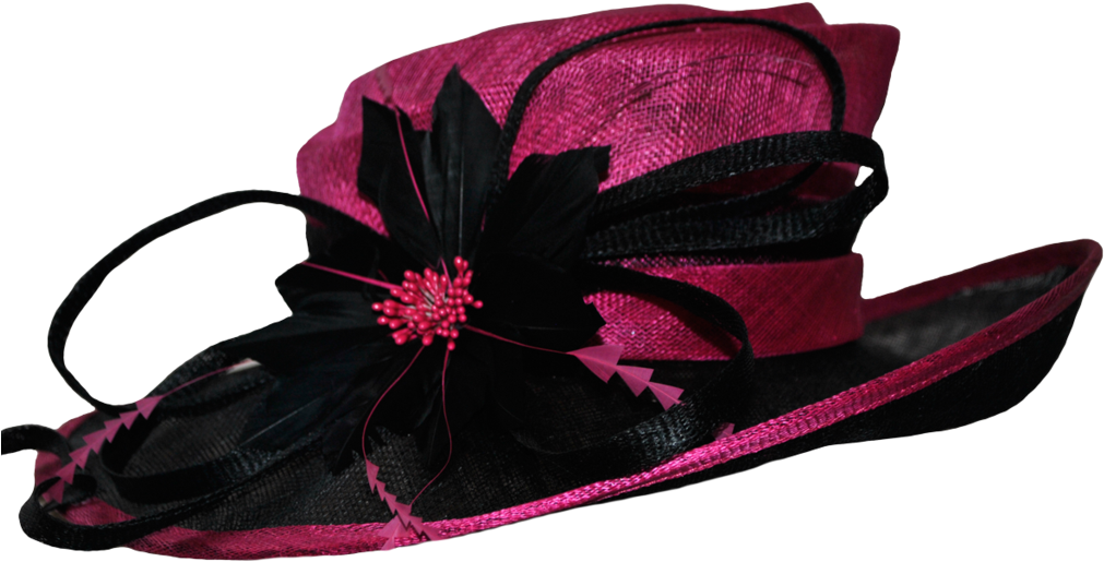 Page 2 Fancy Pink Hat Clip Art - Fancy Hat Transparent Background (1024x680)