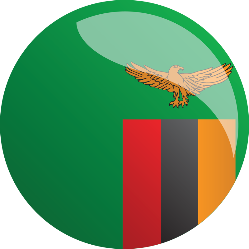 Flag Clipart Zambian - Portrait Of A Man (800x800)