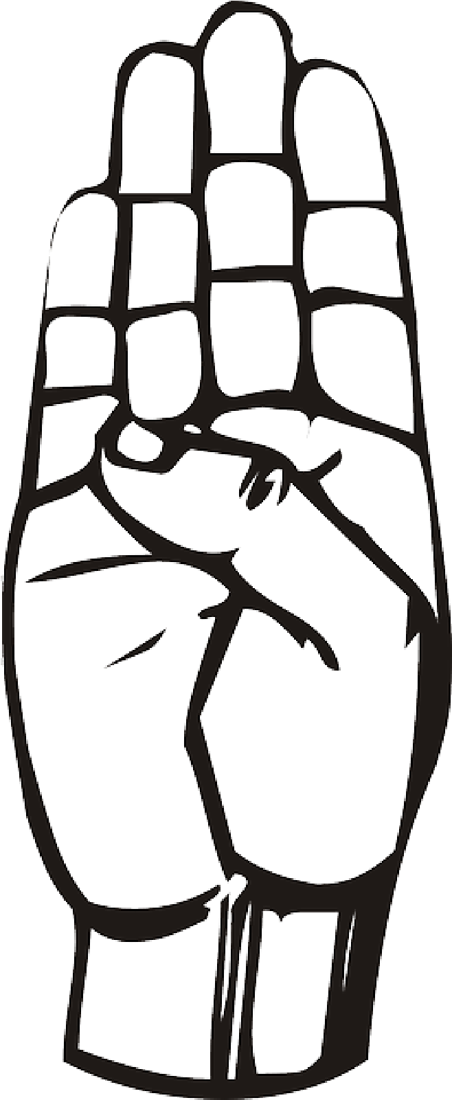 Art - Letter B Sign Language (800x1600)