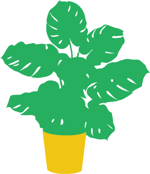 My Favorite Plant Is Called Monstera Deliciosa - Indoor Big Leaf Plants (360x504)