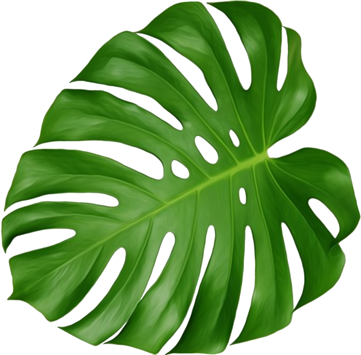 Swiss Cheese Plant Leaf Houseplant Plant Leaves - Swiss Cheese Plant Leaf (1280x1237)