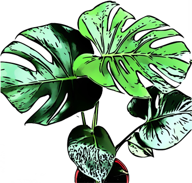 Let Them Live - Icon (400x400)