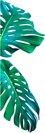 Left Parallax Background Element - Parallax (352x913)