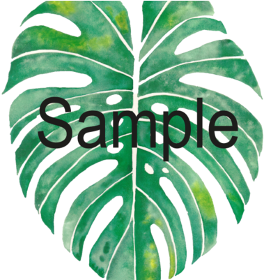 Monstera Leaf - Swiss Cheese Plant (400x400)