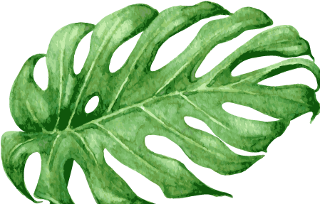 We're Sorry, This Content Cannot Be Displayed - Tropical Plantrs (531x344)