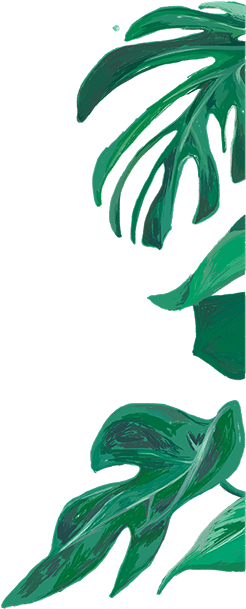 Details - Nordic Plant (262x646)