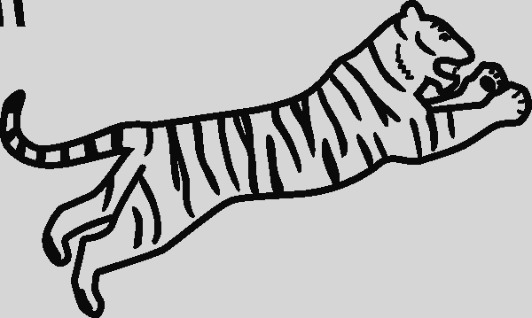 White Tiger Drawing Easy (600x359)