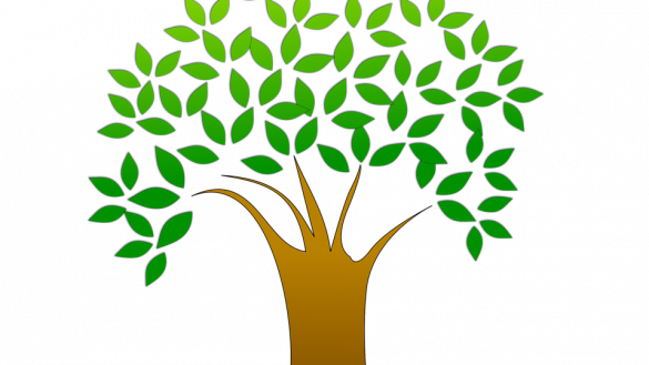 Better Image Of Tree Clipart Free Stock Photo Illustration - Tree Vector Image Png (585x329)