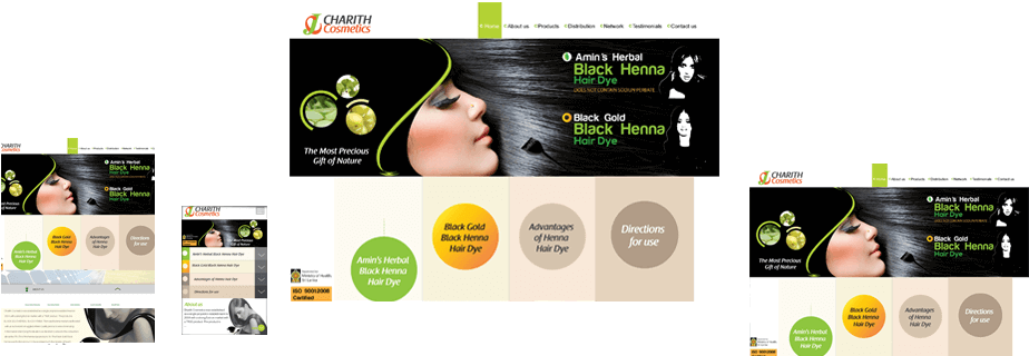 Charith Cosmetics - Online Advertising (1009x378)