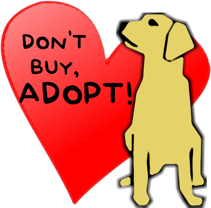Don't Buy, Adopt By - Custom Golden Retriever Throw Blanket (792x734)