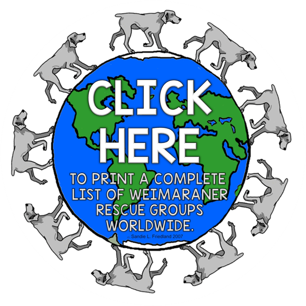 Weimaraner Rescues Usa - Weimathon Logo 5 Round Ornament (1035x1035)