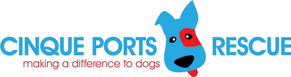 Presbyterian Church Of Brazil (1000x250)