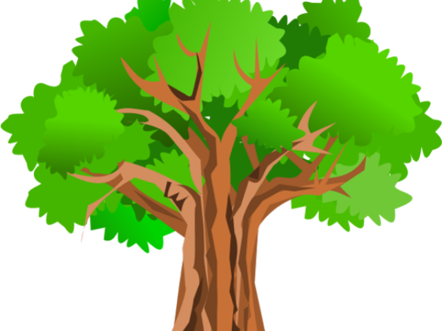 Thick Tree Cliparts - Tree Clipart Hd (640x480)