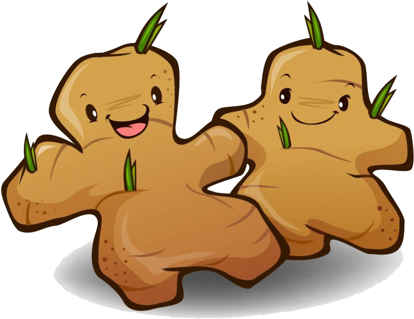 Ginger Cartoon Vegetable Motion Sickness - Ginger Cartoon Png (856x642)